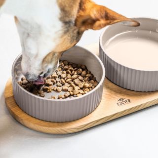 I při takové každodenní záležitosti, jako je krmení vašeho psa, na vás může dýchnout atmosféra severských zemí. Tako...