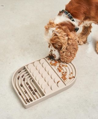 Lízací podložka pro psy Aperitivo. Dopřejte svému chlupatému parťákovi radost i v pošmourných dnech! Lízací podložka je...