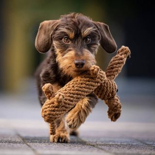 Milujeme hračky šetrné k životnímu prostředí, vyrobené z přírodních a recyklovatelných materiálů. ....