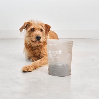 Tyto hovězí pamlsky z certifikovaných biofarem patří mezi naše velké favority. . . . #psina #psinakup #miacara #treats...